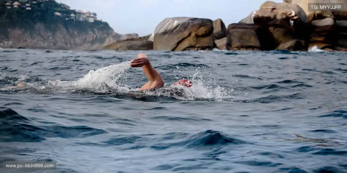 网络游戏全能平台:手机电脑一键畅玩,随时随地点燃热血